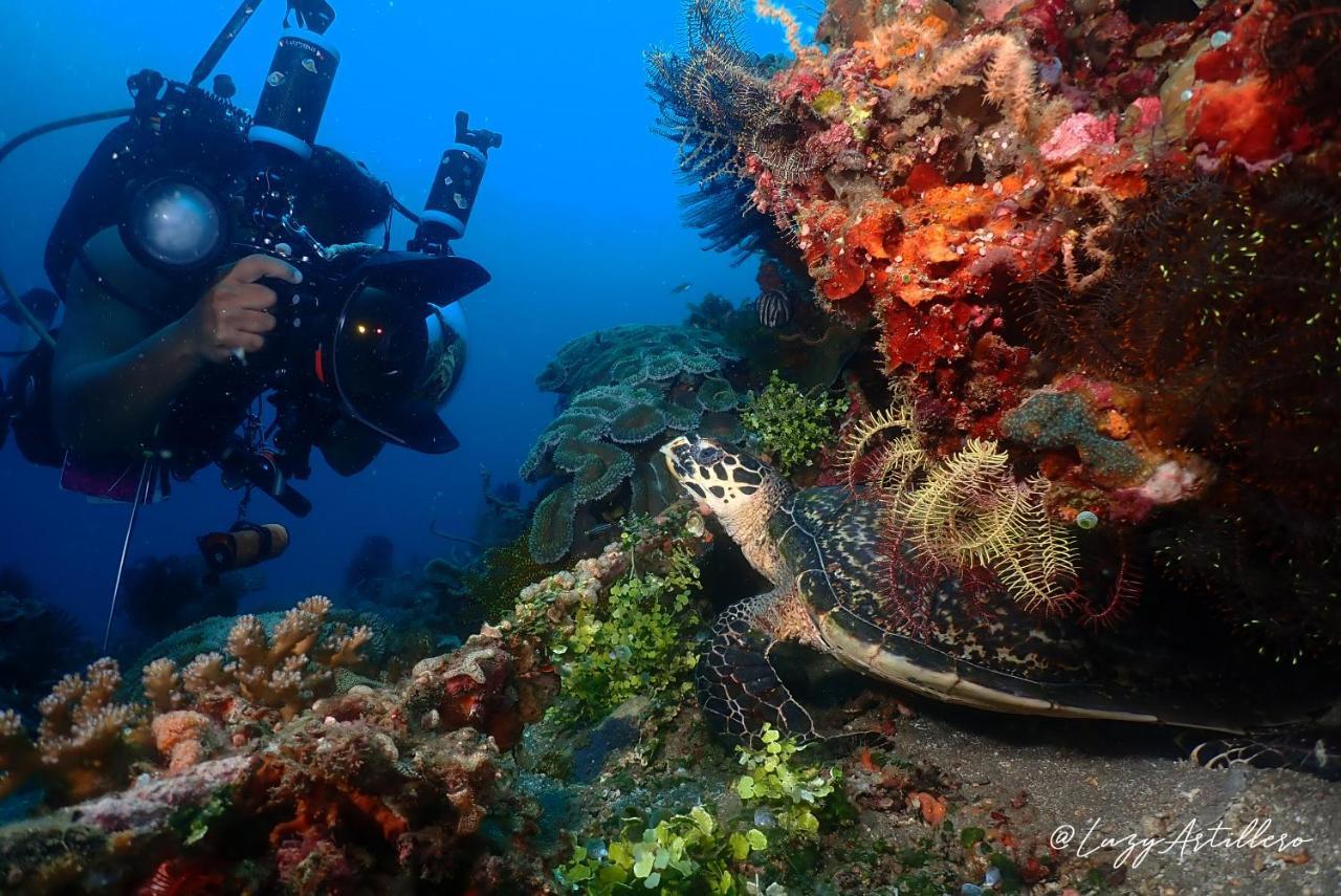 La Tortue Diving Resort Дауін Екстер'єр фото