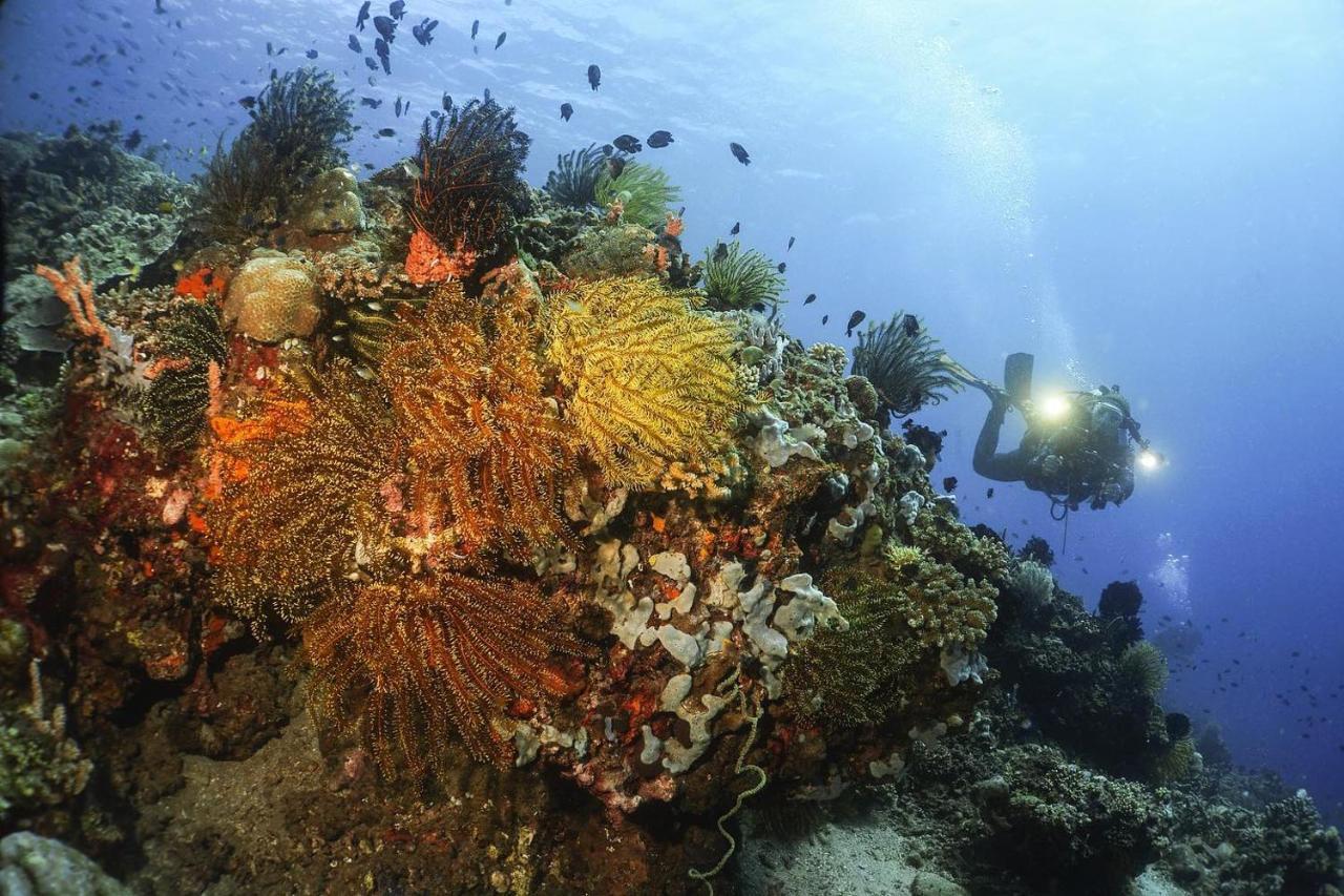 La Tortue Diving Resort Дауін Екстер'єр фото