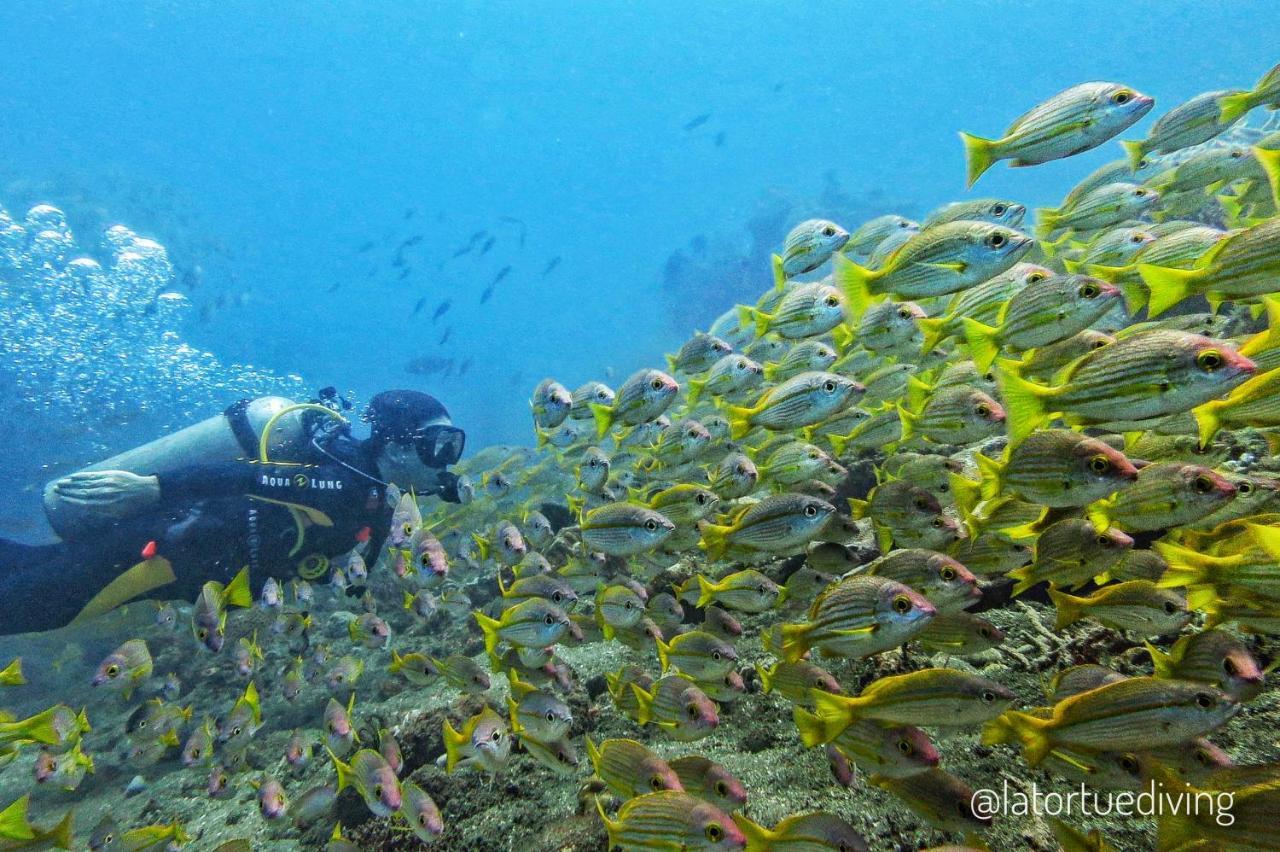 La Tortue Diving Resort Дауін Екстер'єр фото