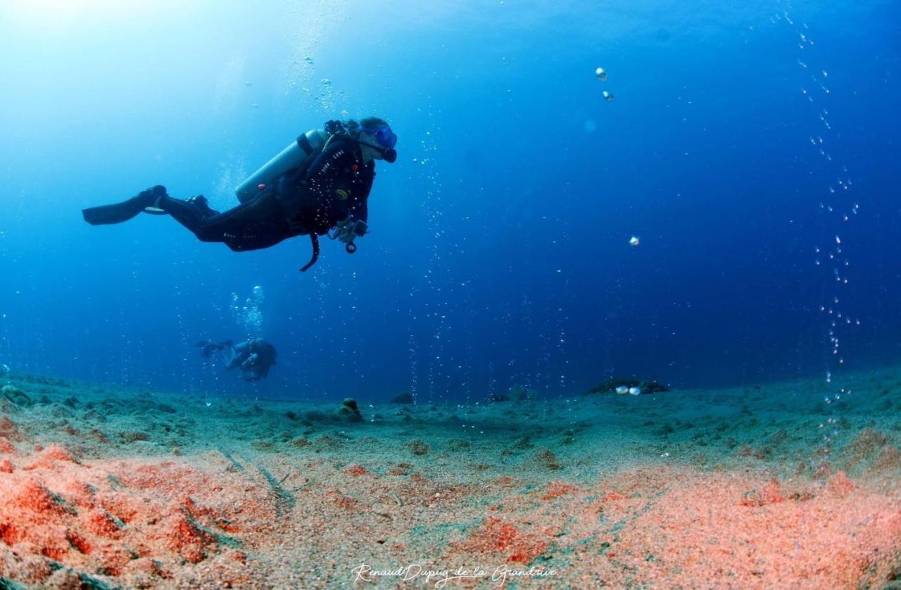 La Tortue Diving Resort Дауін Екстер'єр фото