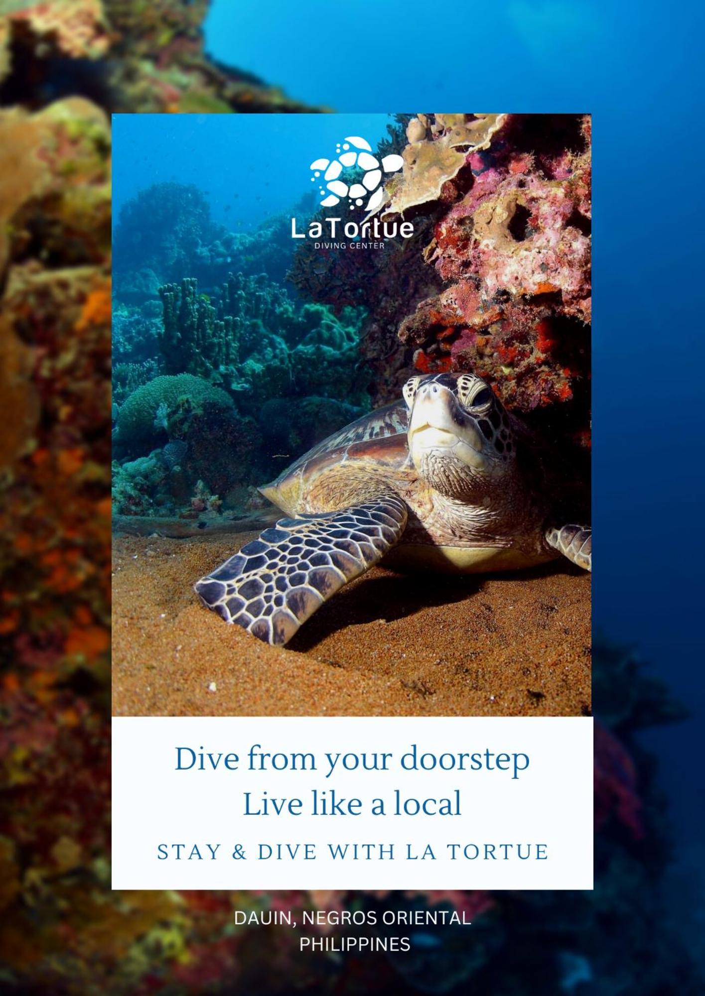 La Tortue Diving Resort Дауін Екстер'єр фото